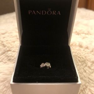 Pandora charm